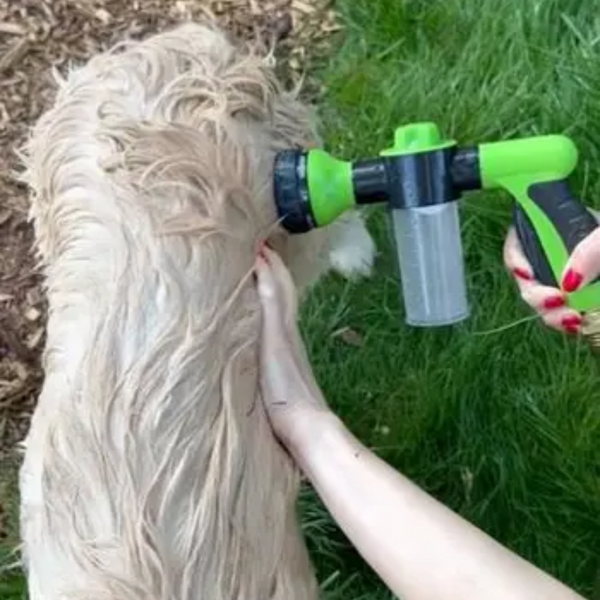 14.000+ svenska hundägare använder DogShower