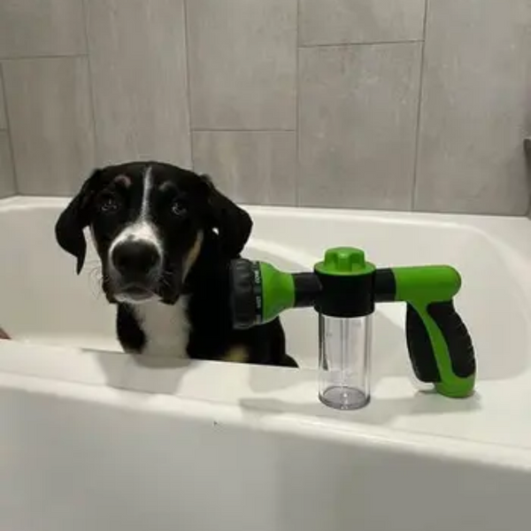 14.000+ svenska hundägare använder DogShower