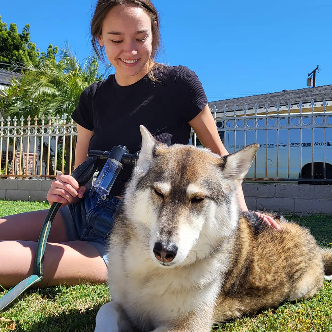DogShower™ | Tvätta din hund utan krångel