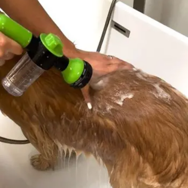 14.000+ svenska hundägare använder DogShower